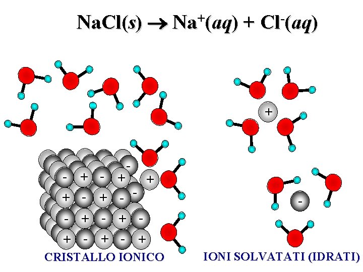 Na. Cl(s) Na+(aq) + Cl-(aq) + - - + - + - + -