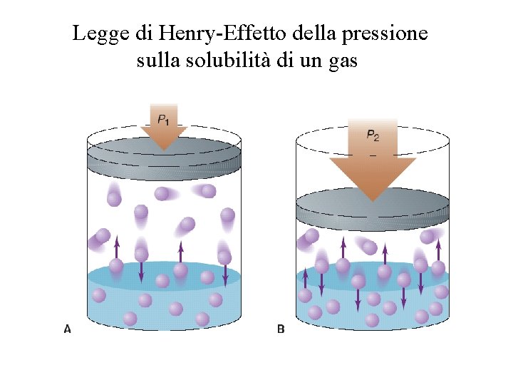 Legge di Henry-Effetto della pressione sulla solubilità di un gas 