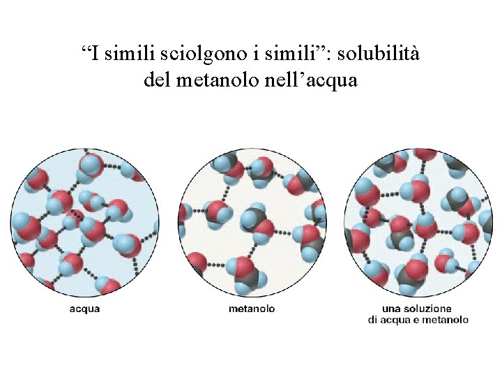 “I simili sciolgono i simili”: solubilità del metanolo nell’acqua 