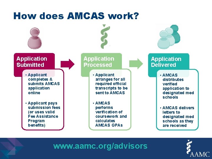How does AMCAS work? Application Submitted Application Processed • Applicant completes & submits AMCAS