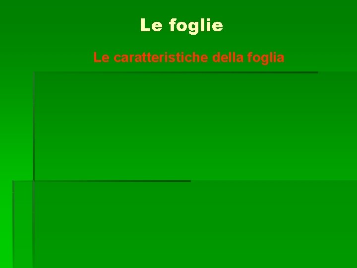 Le foglie Le caratteristiche della foglia 