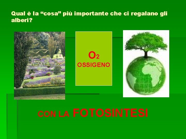 Qual è la “cosa” più importante che ci regalano gli alberi? O 2 OSSIGENO
