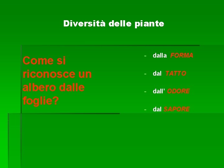 Diversità delle piante Come si riconosce un albero dalle foglie? - dalla FORMA -