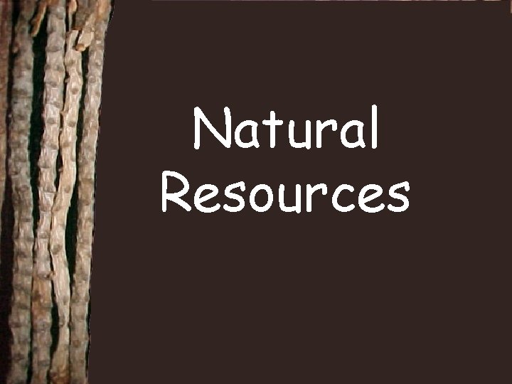 Natural Resources 