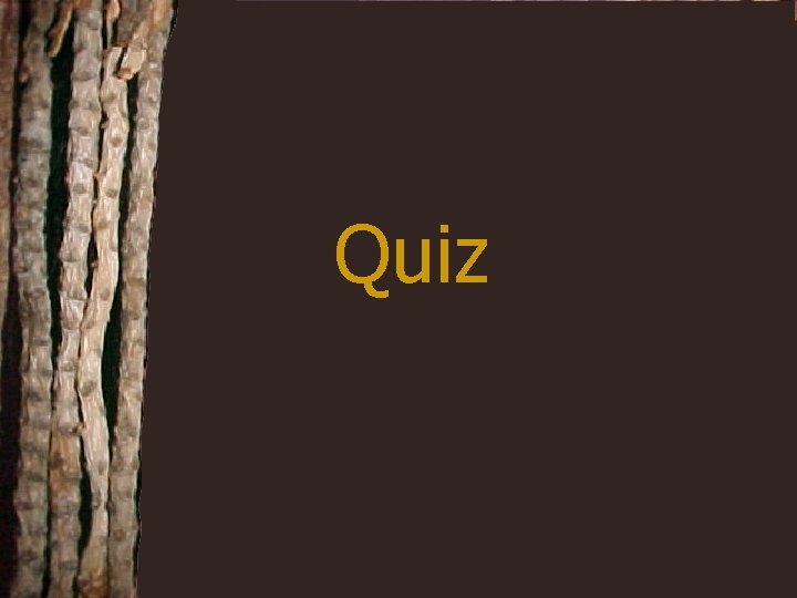 Quiz 