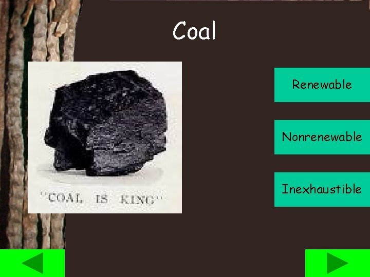 Coal Renewable Nonrenewable Inexhaustible 