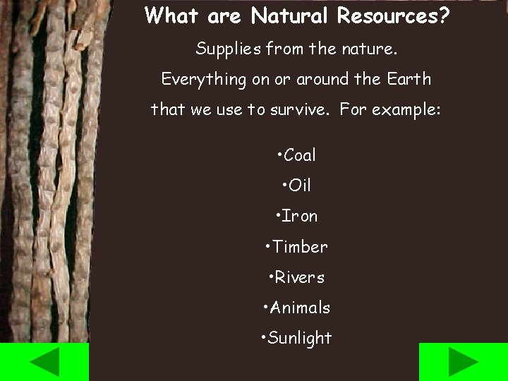 What are Natural Resources? Supplies from the nature. Everything on or around the Earth