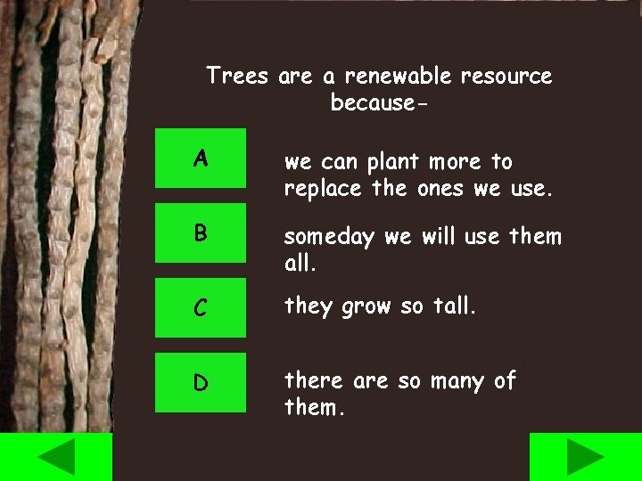 Trees are a renewable resource because. A we can plant more to replace the