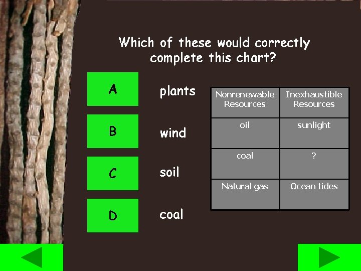 Which of these would correctly complete this chart? A B plants wind C soil