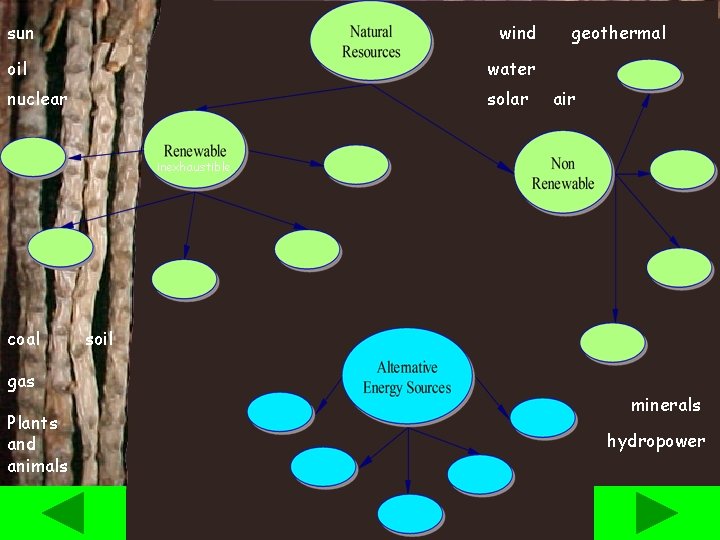 sun wind oil water nuclear solar geothermal air inexhaustible coal gas Plants and animals