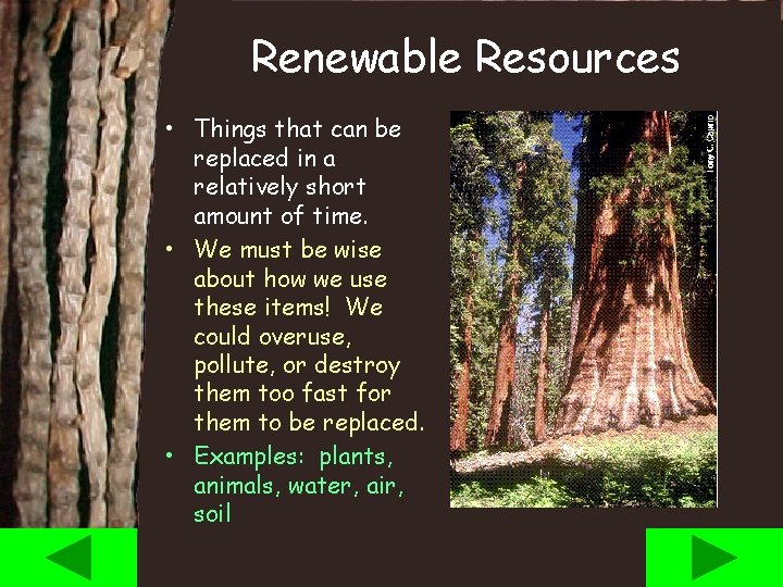 Renewable Resources • Things that can be replaced in a relatively short amount of