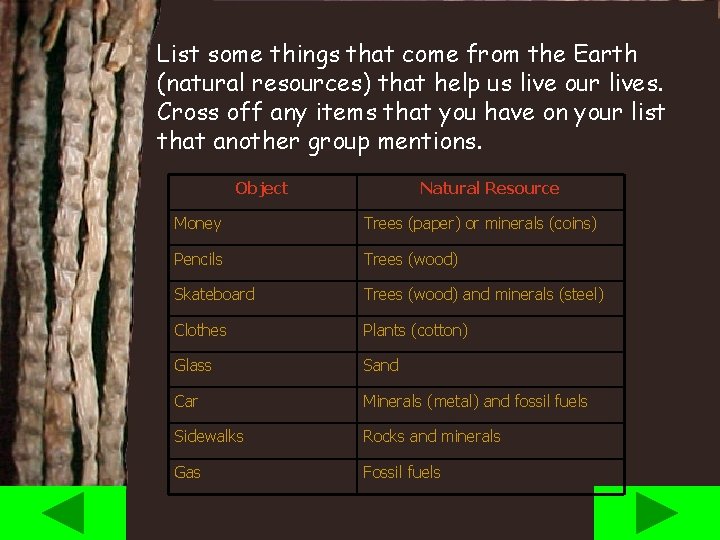 List some things that come from the Earth (natural resources) that help us live