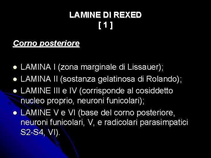 LAMINE DI REXED [1] Corno posteriore LAMINA I (zona marginale di Lissauer); LAMINA II