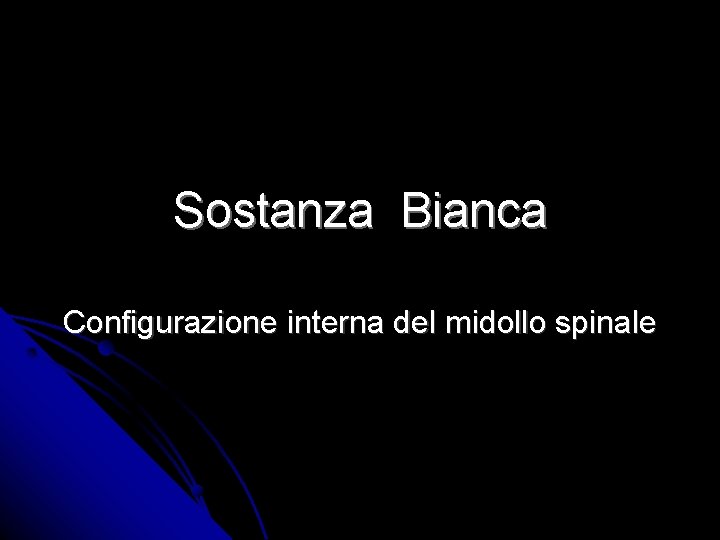 Sostanza Bianca Configurazione interna del midollo spinale 