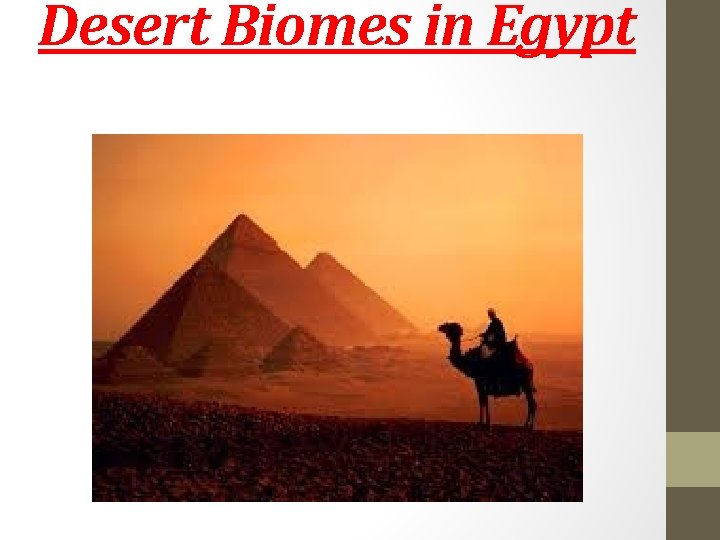 Desert Biomes in Egypt 
