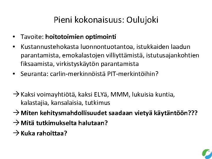 Pieni kokonaisuus: Oulujoki • Tavoite: hoitotoimien optimointi • Kustannustehokasta luonnontuotantoa, istukkaiden laadun parantamista, emokalastojen