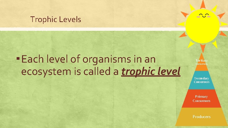 Trophic Levels ▪ Each level of organisms in an ecosystem is called a trophic