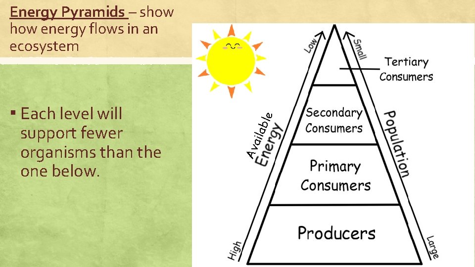 support fewer organisms than the one below. Ava ilab ▪ Each level will le