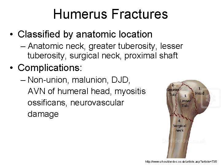 Humerus Fractures • Classified by anatomic location – Anatomic neck, greater tuberosity, lesser tuberosity,