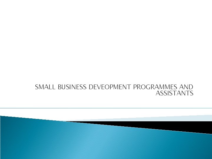 SMALL BUSINESS DEVEOPMENT PROGRAMMES AND ASSISTANTS 