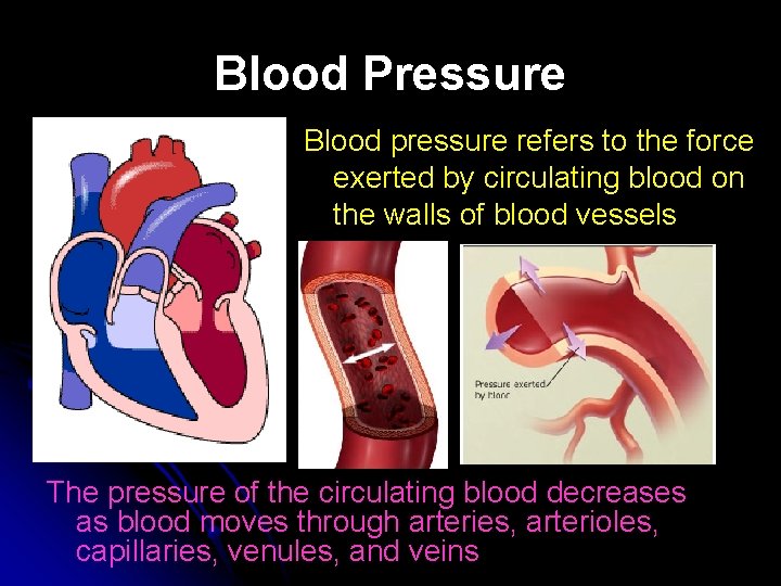 Blood Pressure Blood pressure refers to the force exerted by circulating blood on the