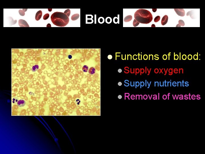 Blood l Functions l Supply of blood: oxygen l Supply nutrients l Removal of