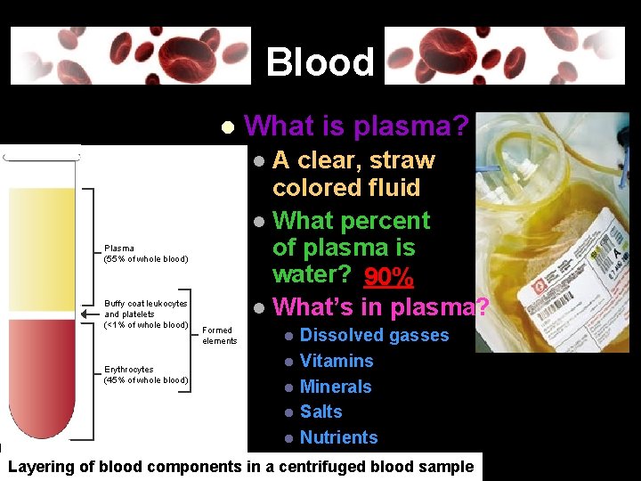 Blood l What is plasma? A clear, straw colored fluid l What percent of