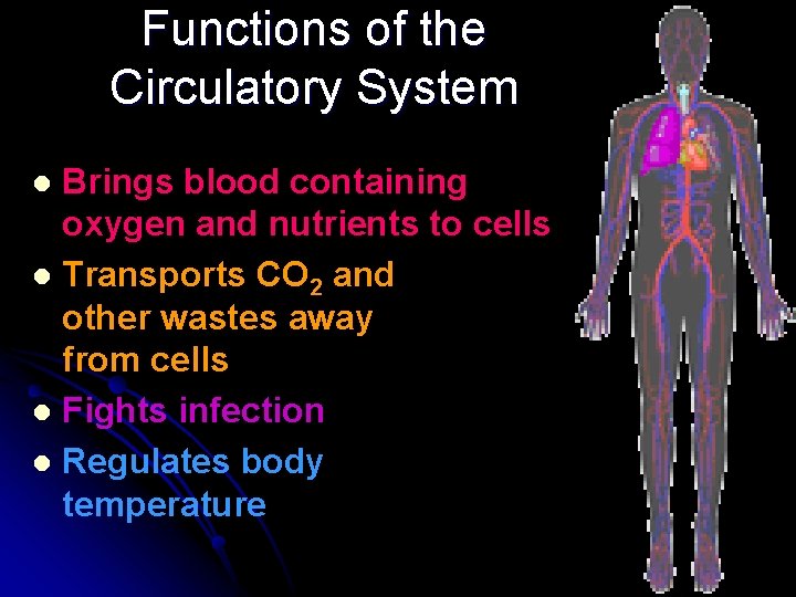 Functions of the Circulatory System Brings blood containing oxygen and nutrients to cells l