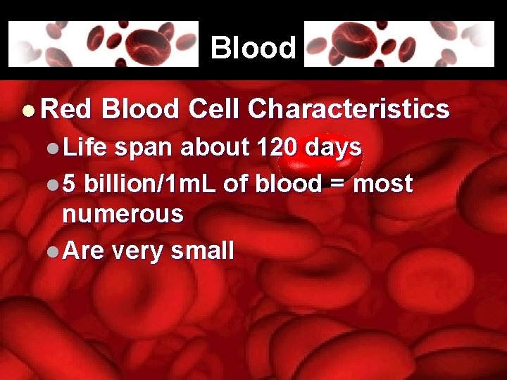 Blood l Red Blood Cell Characteristics l Life span about 120 days l 5