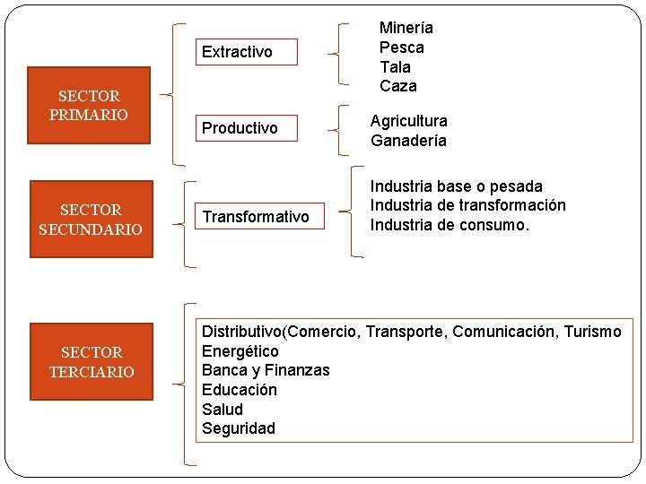 SECTOR PRIMARIO SECTOR SECUNDARIO SECTOR TERCIARIO Extractivo Minería Pesca Tala Caza Productivo Agricultura Ganadería