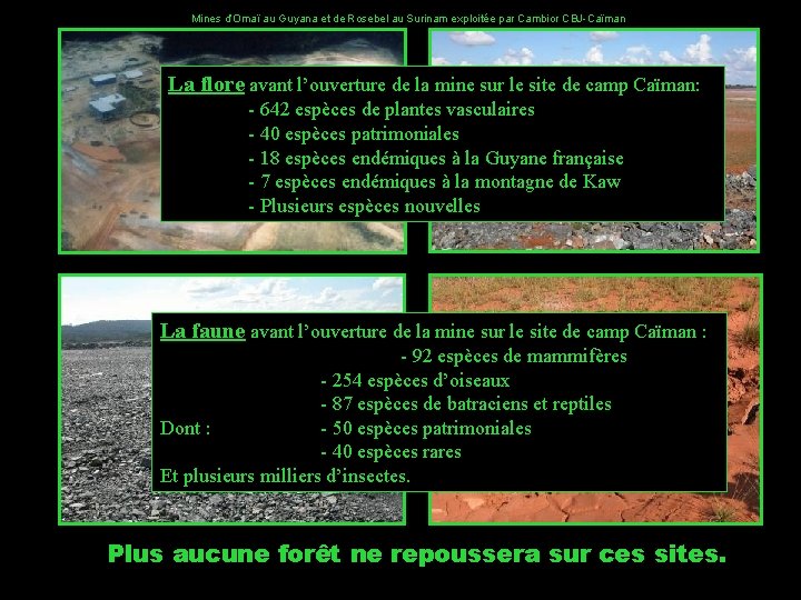 Mines d’Omaï au Guyana et de Rosebel au Surinam exploitée par Cambior CBJ-Caïman La