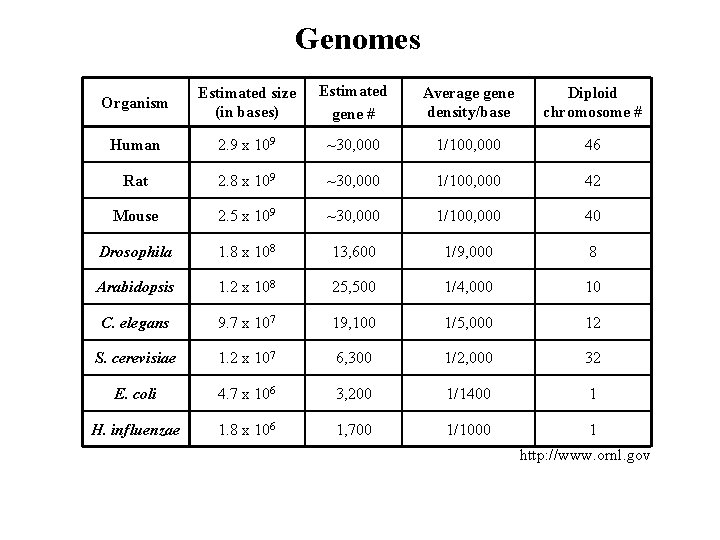 Genomes Organism Estimated size (in bases) Estimated gene # Average gene density/base Diploid chromosome