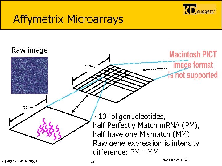 Affymetrix Microarrays Raw image 1. 28 cm 50 um ~107 oligonucleotides, half Perfectly Match