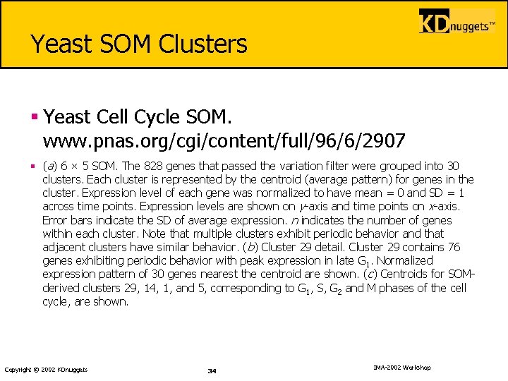 Yeast SOM Clusters § Yeast Cell Cycle SOM. www. pnas. org/cgi/content/full/96/6/2907 § (a) 6