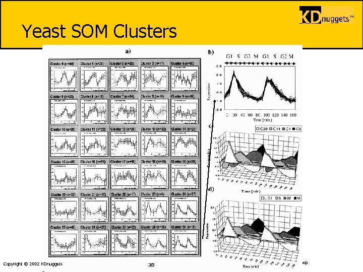 Yeast SOM Clusters Copyright © 2002 KDnuggets 35 IMA-2002 Workshop 