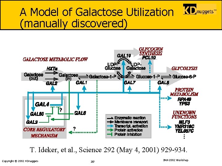 A Model of Galactose Utilization (manually discovered) T. Ideker, et al. , Science 292