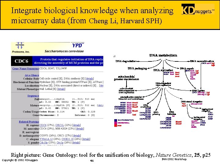 Integrate biological knowledge when analyzing microarray data (from Cheng Li, Harvard SPH) Right picture: