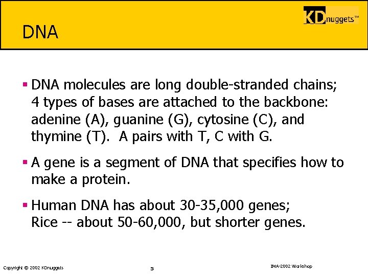 DNA § DNA molecules are long double-stranded chains; 4 types of bases are attached