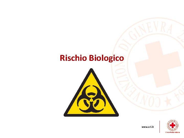 Rischio Biologico 