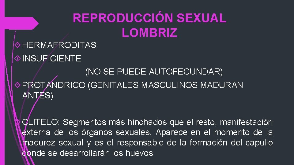 REPRODUCCIÓN SEXUAL LOMBRIZ HERMAFRODITAS INSUFICIENTE (NO SE PUEDE AUTOFECUNDAR) PROTANDRICO (GENITALES MASCULINOS MADURAN ANTES)