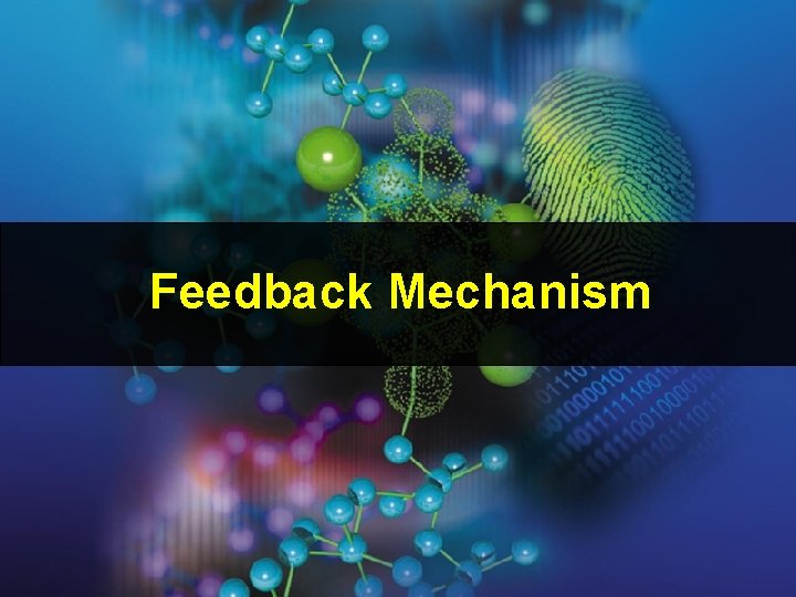 Feedback Mechanism Feedback Mechanism
