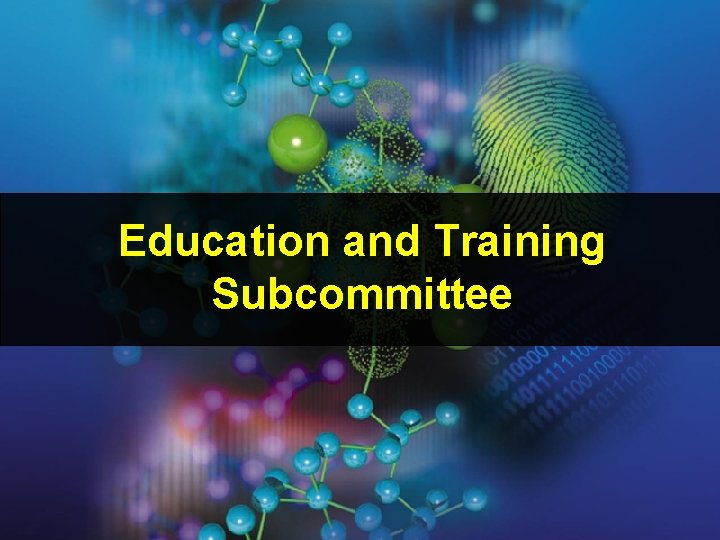 Education and Training Subcommittee Education and Training Subcommittee