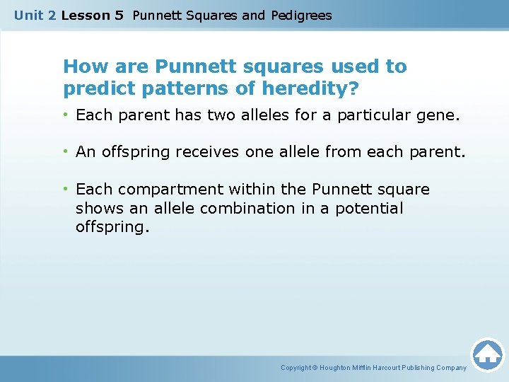 Unit 2 Lesson 5 Punnett Squares and Pedigrees How are Punnett squares used to