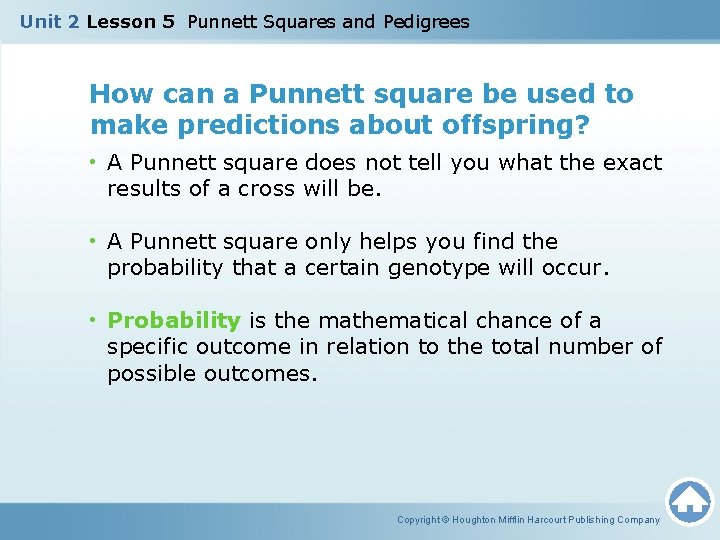 Unit 2 Lesson 5 Punnett Squares and Pedigrees How can a Punnett square be