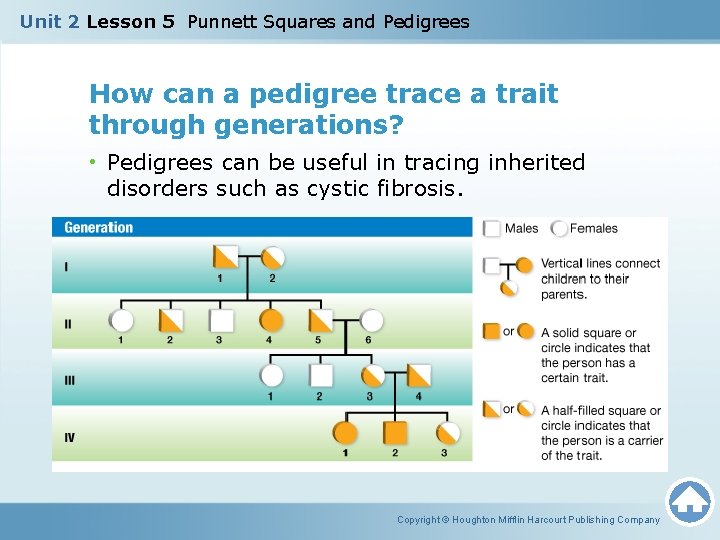Unit 2 Lesson 5 Punnett Squares and Pedigrees How can a pedigree trace a