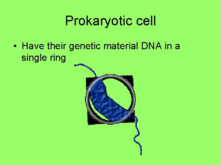 Prokaryotic cell • Have their genetic material DNA in a single ring Prokaryotic cell • Have their genetic material DNA in a single ring