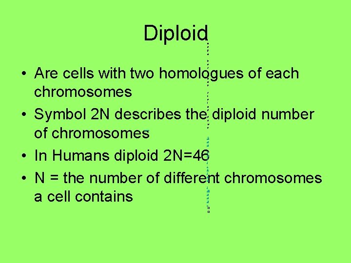 Diploid I m a g e h a s • Are cells with two Diploid I m a g e h a s • Are cells with two