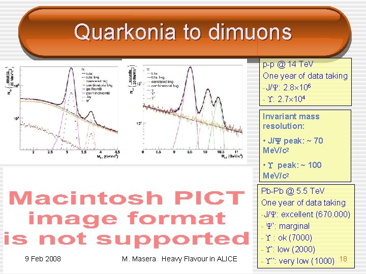 Quarkonia to dimuons p-p @ 14 Te. V One year of data taking -J/Y: