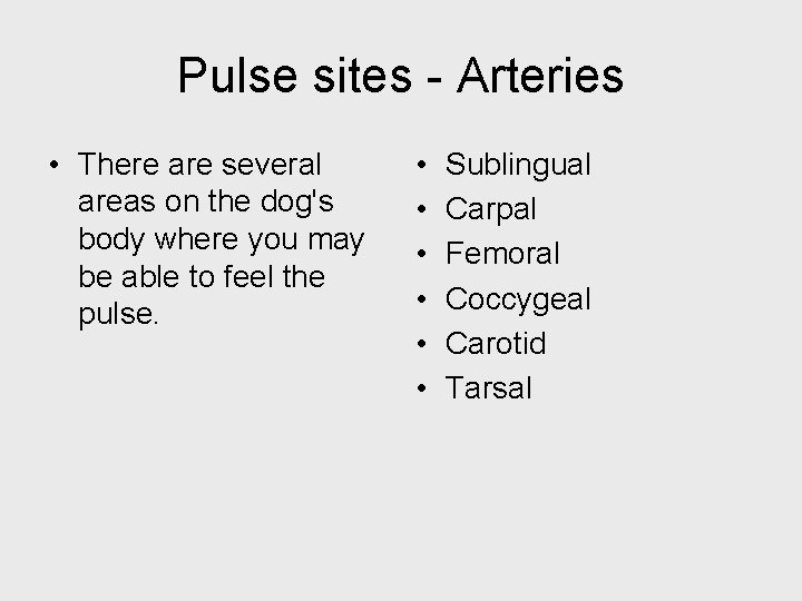 Pulse sites - Arteries • There are several areas on the dog's body where