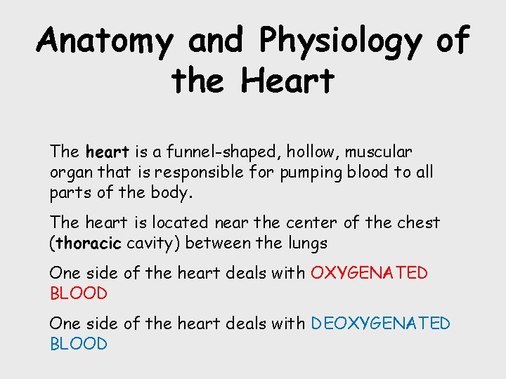 Anatomy and Physiology of the Heart The heart is a funnel-shaped, hollow, muscular organ